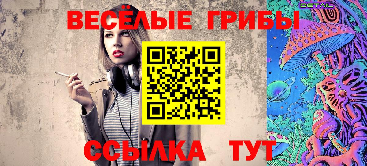 как найти закладки  Вход с VPN  Усть-Джегута  Галлюциногенные грибы Cubensis 