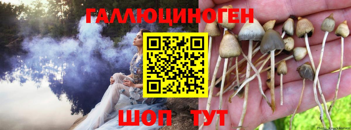 Галлюциногенные грибы мухоморы Усть-Джегута